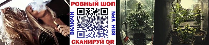 Где купить Юхнов mega зеркало  Меф  Галлюциногенные грибы  ГАШ  APVP  КОКАИН 