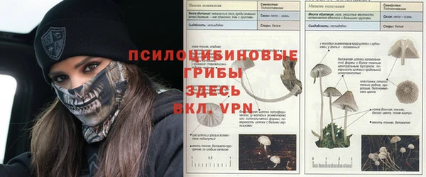 прущий лед Абинск